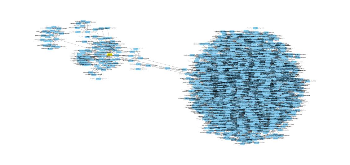 Bitcoin transactions associated with US Marshals wallet (yellow) in Silk Road seisure